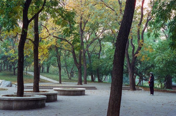 Le massage femme enceinte : un moment de douceur et de relaxation